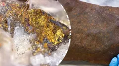 Man bewaart jarenlang 4,6 miljard jaar oude vondst thuis, denkend dat het goud is